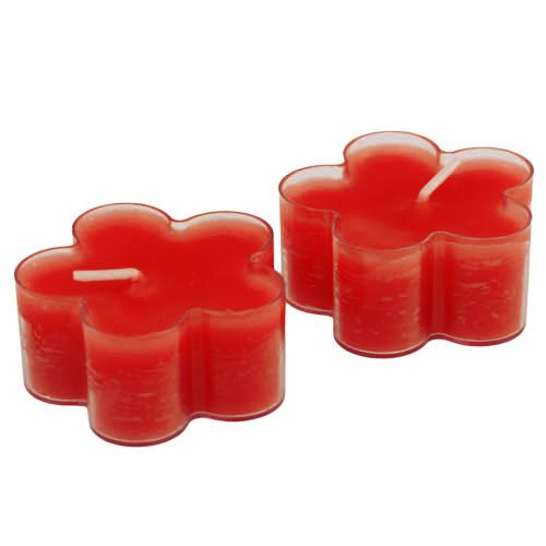 Floristik24 Blütenlicht Rubin 12St