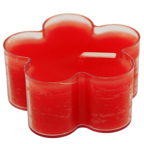 Floristik24 Blütenlicht Rubin 12St