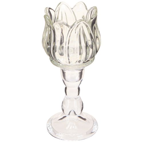 Floristik24 Teelichthalter Tulpe Teelichtglas mit Fuß Klar Ø7cm H16cm 2St