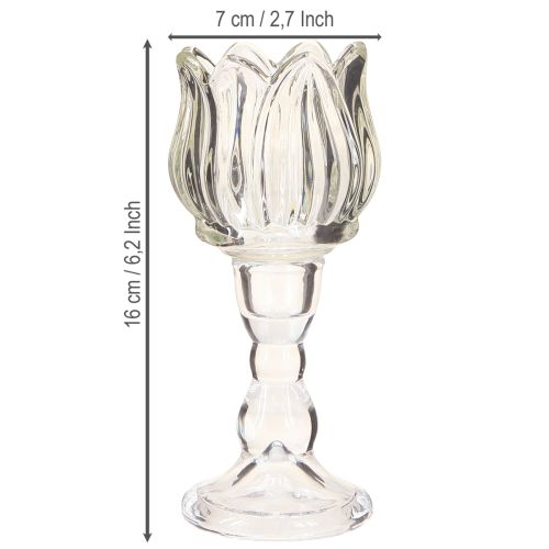 Artikel Teelichthalter Tulpe Teelichtglas mit Fuß Klar Ø7cm H16cm 2St