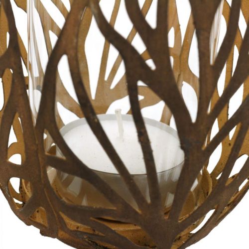 Floristik24 Windlicht Rost Optik, Teelichthalter Retro Ø13cm H30cm