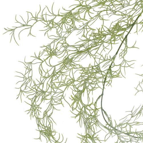 Floristik24 Tillandsienhänger Grün 160cm