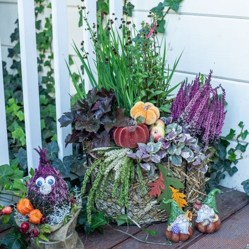 Floristik24 Tischdeko Herbst Deko Kürbisse Orange Braun Ø6,5cm 9St