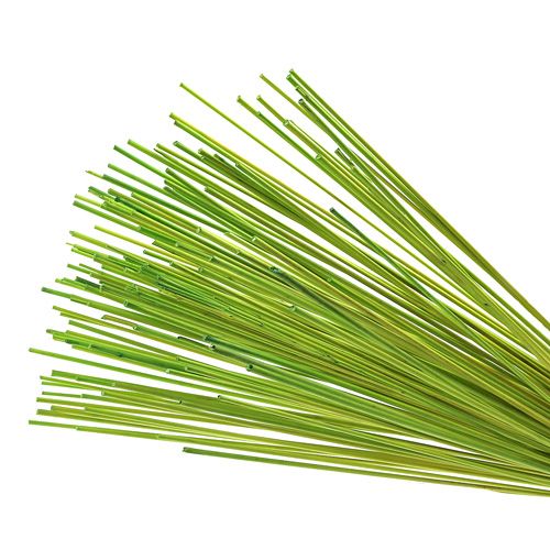 Deko-Stäbe Tonkin 70cm Hellgrün 150 St