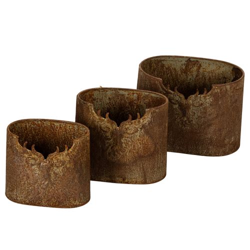 Pflanzgefäss 3er-Set Metall oval mit Hirschmotiv Rostoptik online kaufen | Floristik24.ch
