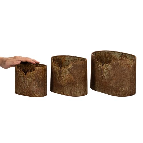Pflanzgefäss 3er-Set Metall oval mit Hirschmotiv Rostoptik | Floristik24.ch