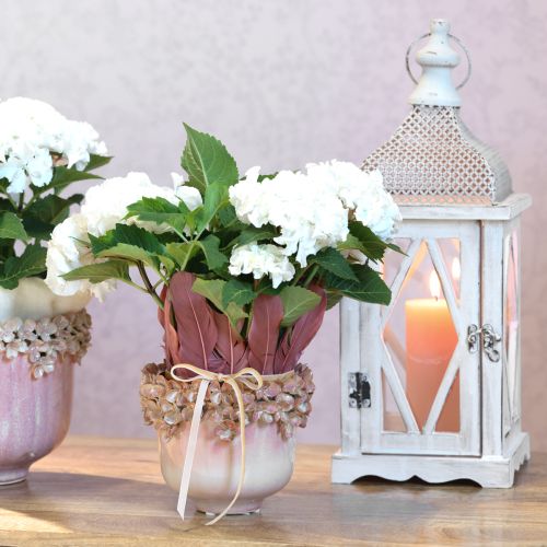 Artikel Blumentopf Keramik Rosa – Eleganter Pflanztopf mit Blütenverzierung Ø16cm