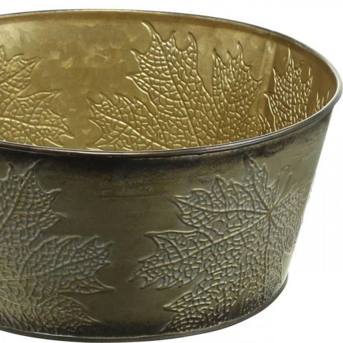 Floristik24 Herbstschale, Metalltopf mit Blattdeko, Pflanztopf Golden Ø25cm H10cm