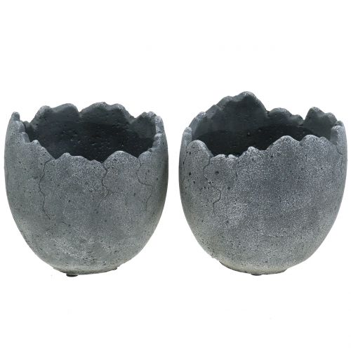 Floristik24 Beton Pflanztopf Eierschale Ø14,5cm 15cm 2St