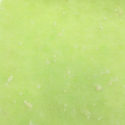 Floristik24 Topfband Filzband Grün mit Punkten 15cm x 5m