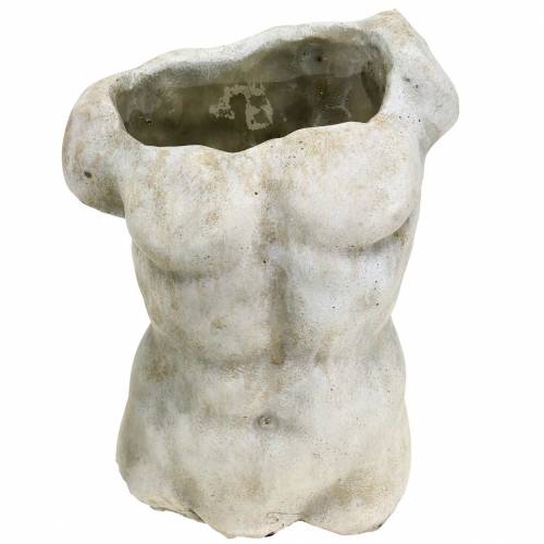 Floristik24 Pflanztopf Torso Männlich Grau 19×13,5cm H28cm