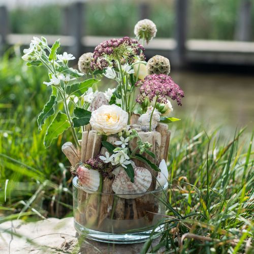 Floristik24 Treibholz Deko Schwemmholz Holzstäbe Natur L15cm