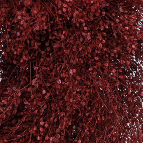 Artikel Deko-Kranz Trockenblumen Bordeaux Lepidium Wanddeko Elegant Natürlich Ø33cm