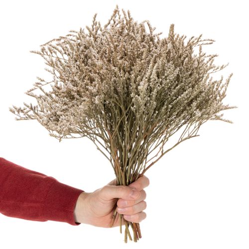 Trockenblume Strandflieder Bund 1 kg Natur für Innenbereich | Floristik24.ch