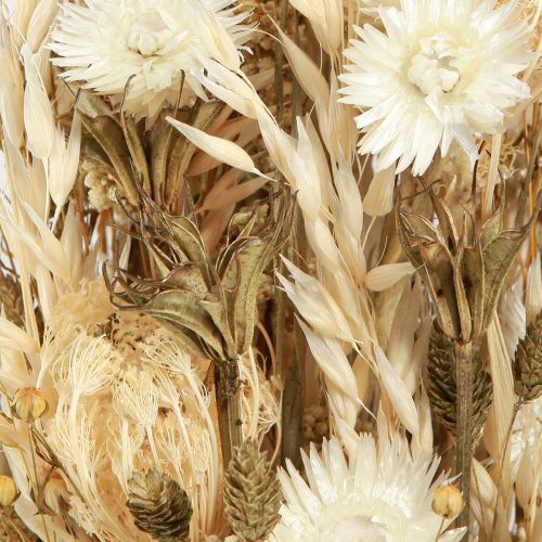 Artikel Trockenblumen Weiß Gold Deko Capblumen Phalaris 30cm 200g