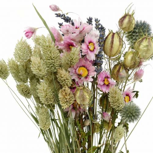 Floristik24 Wildgräser-Strauß mit Strohblumen Trockenfloristik 70g