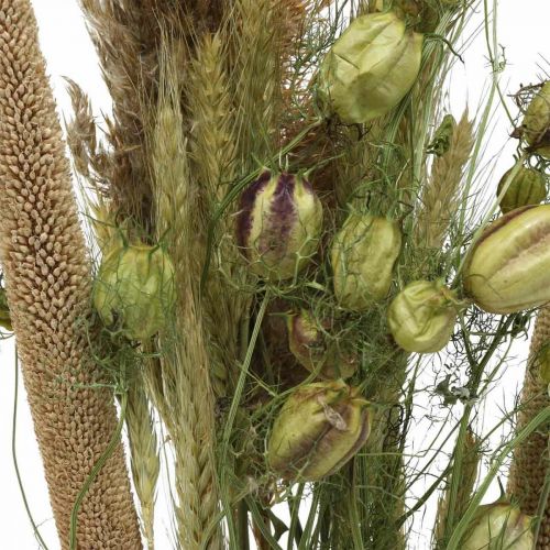 Floristik24 Trockenblumen Strauß Rosa, Weiß Trockenstrauß H60-65cm