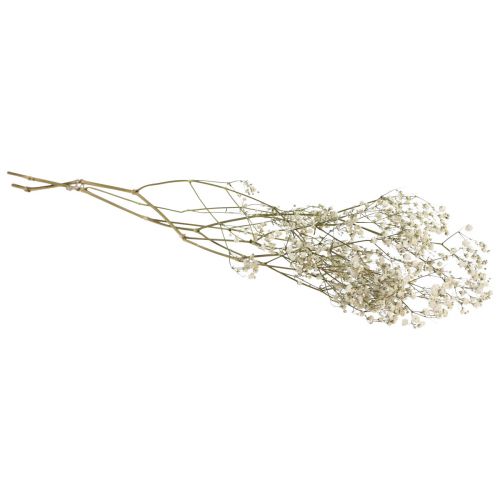Floristik24 Trockenblumen Schleierkraut Gypsophila Weiß 58cm 7g
