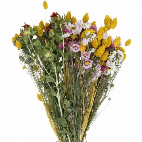 Trockenblumenstrauß bunt Trockenstrauß Wiesenblumen Bouquet 58cm