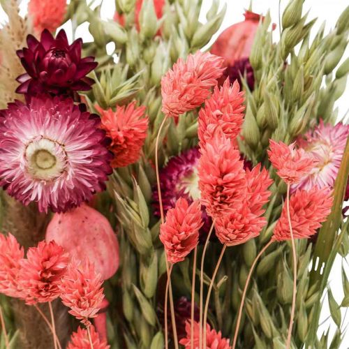 Floristik24 Trockenblumenstrauß Strohblumen Getreide Mohnkapsel Phalaris Riedgras 55cm