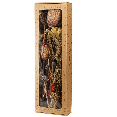 Artikel Trockendeko Exotik Proteen Zapfen Bellgum 24–48cm 580g - Künstliche Blumendeko Südafrika