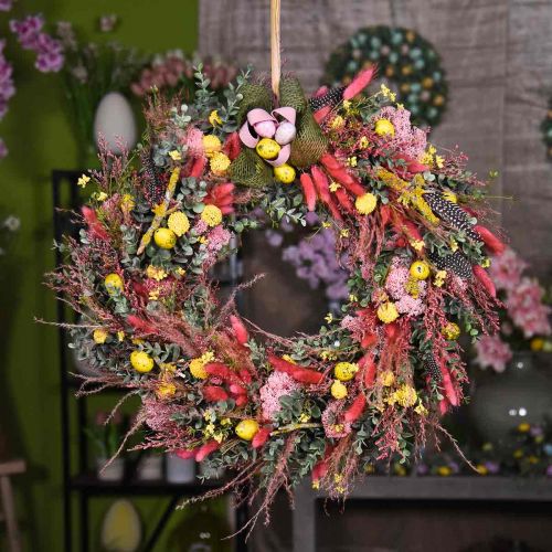 Floristik24 Trockengräser lang Rosa Federgras Deko Miscanthus 75cm 10St