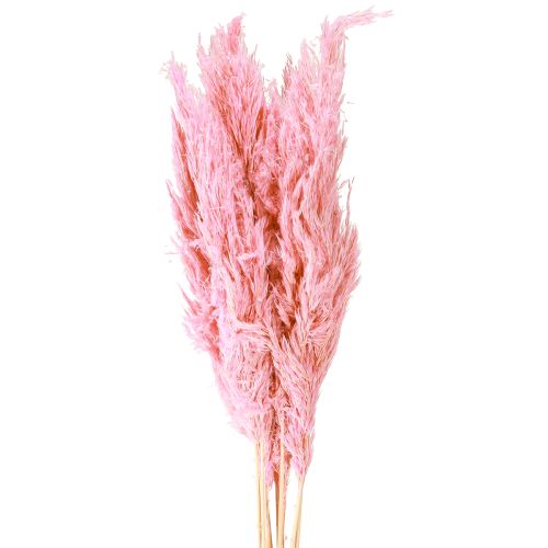Artikel Trockengras Rosa Deko Riedgras Pampas 70cm 10 St