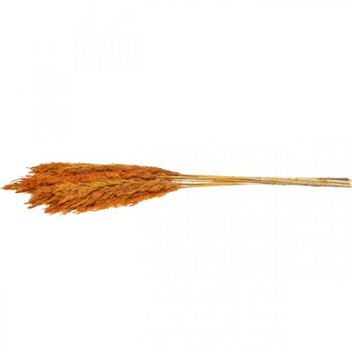 Artikel Trockengras Riedgras Dekogras Orange Herbstdeko 70cm 10St