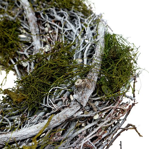 Floristik24 Türkranz mit Moos Ø28cm Grau, Grün