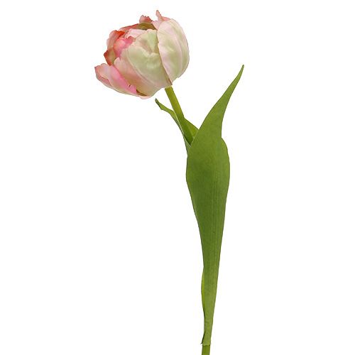 Floristik24 Tulpe Rosa, Grün 37cm 6St