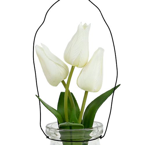 Floristik24 Tulpe Weiß im Glas H21cm 1St
