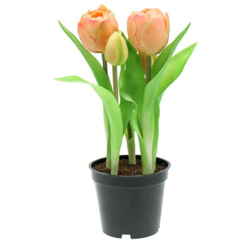 Tulpe Real-Touch Pfirsichfarben 23cm