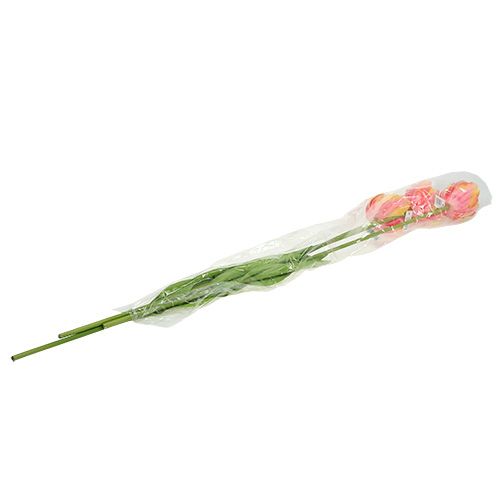 Floristik24 Tulpen Rosa-Gelb 86cm 3St