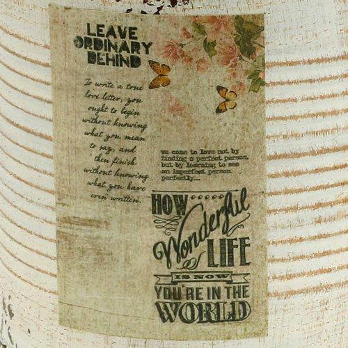 Floristik24 Übertopf Deko-Dose Creme Metall Blechbüchse Ø15,5cm H15cm