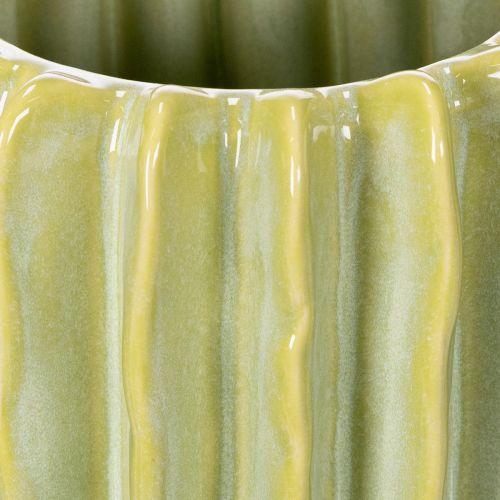 Artikel Kaktus Blumentopf Ideale Schale für exotische Wohnakzente 16cm