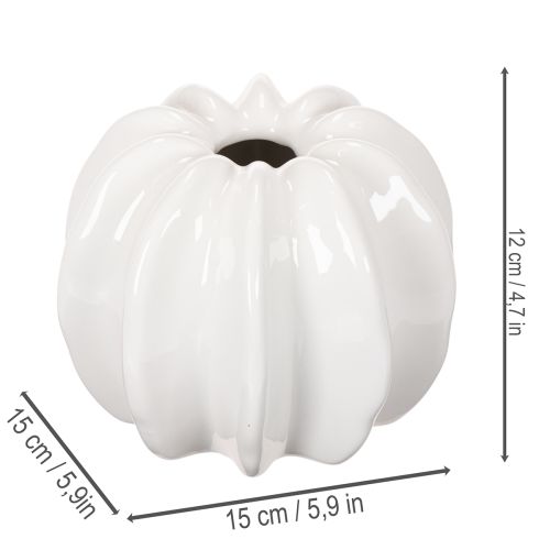 Kürbis-Keramikvase Weiss 15cm für Wohn- und Herbstdekoration | Floristik24.ch