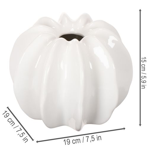 Kürbis-Dekovase Keramik glänzend weiss 19cm Herbstdekoration | Floristik24.ch