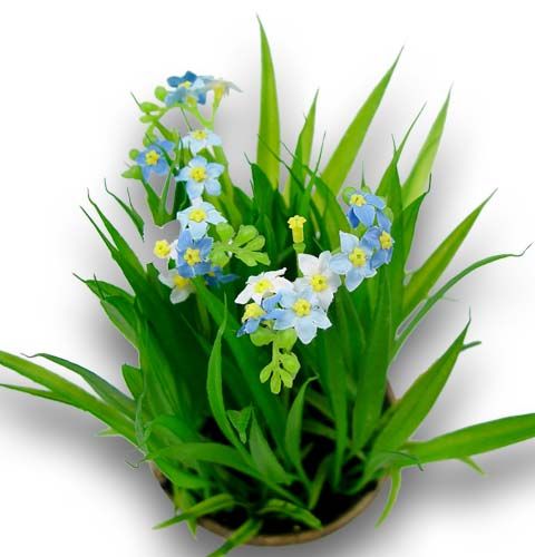 Floristik24 Vergissmeinnicht mit Gras und Schale 18cm