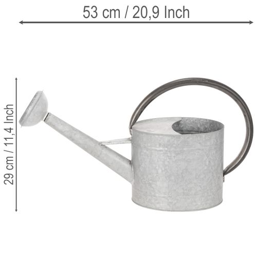 Metall Giesskanne Silbergrau L53cm H29cm für Gartendeko und Blumenarrangements | Floristik24.ch