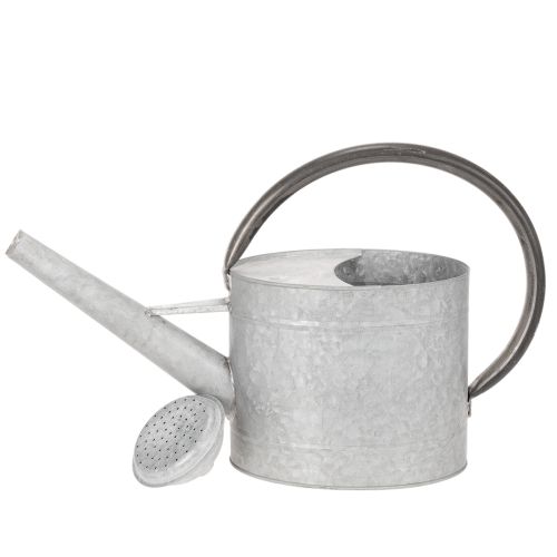Metall Giesskanne Silbergrau L53cm H29cm für Gartendeko und Blumenarrangements | Floristik24.ch