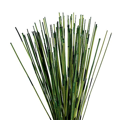 Floristik24 Vlei Reed 400g Dunkelgrün