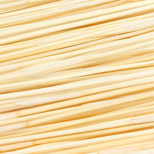 Floristik24 Vlei Reed 400g gebleicht