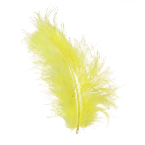 Floristik24 Vogelfedern Gelb zum Basteln Deko Federn 5cm–10cm 20g