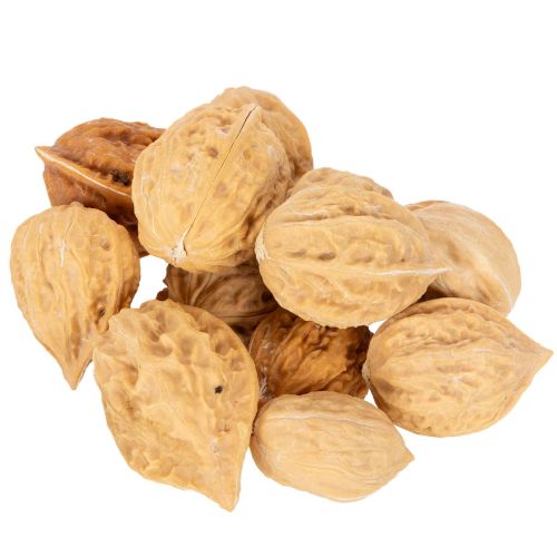 Walnüsse zur Dekoration Naturprodukt, 3-4 cm, naturbraun, 300 g | Floristik24.ch