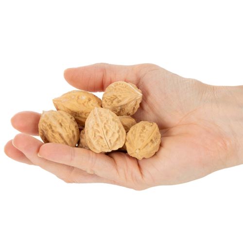 Walnüsse zur Dekoration Naturprodukt, 3-4 cm, naturbraun, 300 g | Floristik24.ch