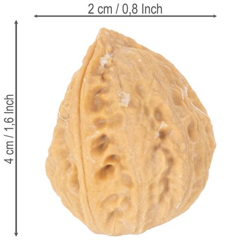 Walnüsse zur Dekoration Naturprodukt, 3-4 cm, naturbraun, 300 g | Floristik24.ch