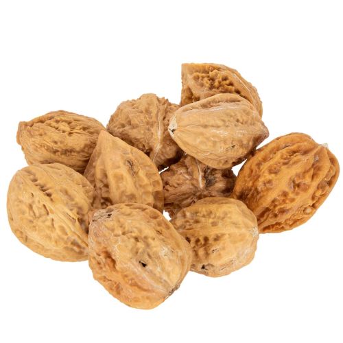 Walnüsse Naturbraun 4–5 cm 300 g für Dekoration und Bastelarbeiten | Floristik24.ch