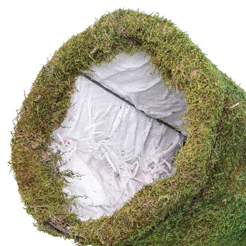 Artikel Weihnachtsbaum Moos Deko in Grün Natur Ø30cm H100cm