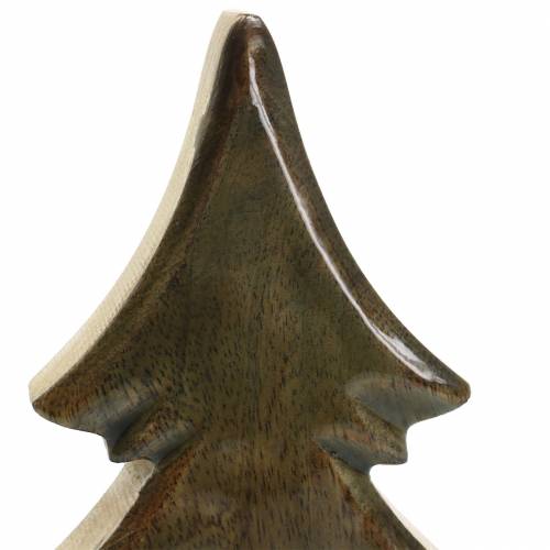 Floristik24 Holztanne Glasiert Natur, Weiß Mangoholz H29cm