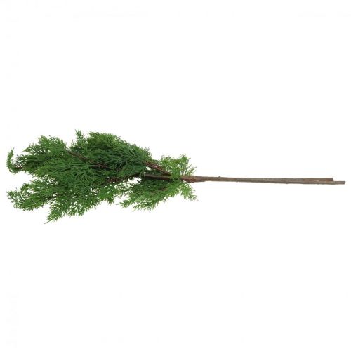 Floristik24 Weihnachtszweige Zypressenzweige künstlich Grün 72cm 2St